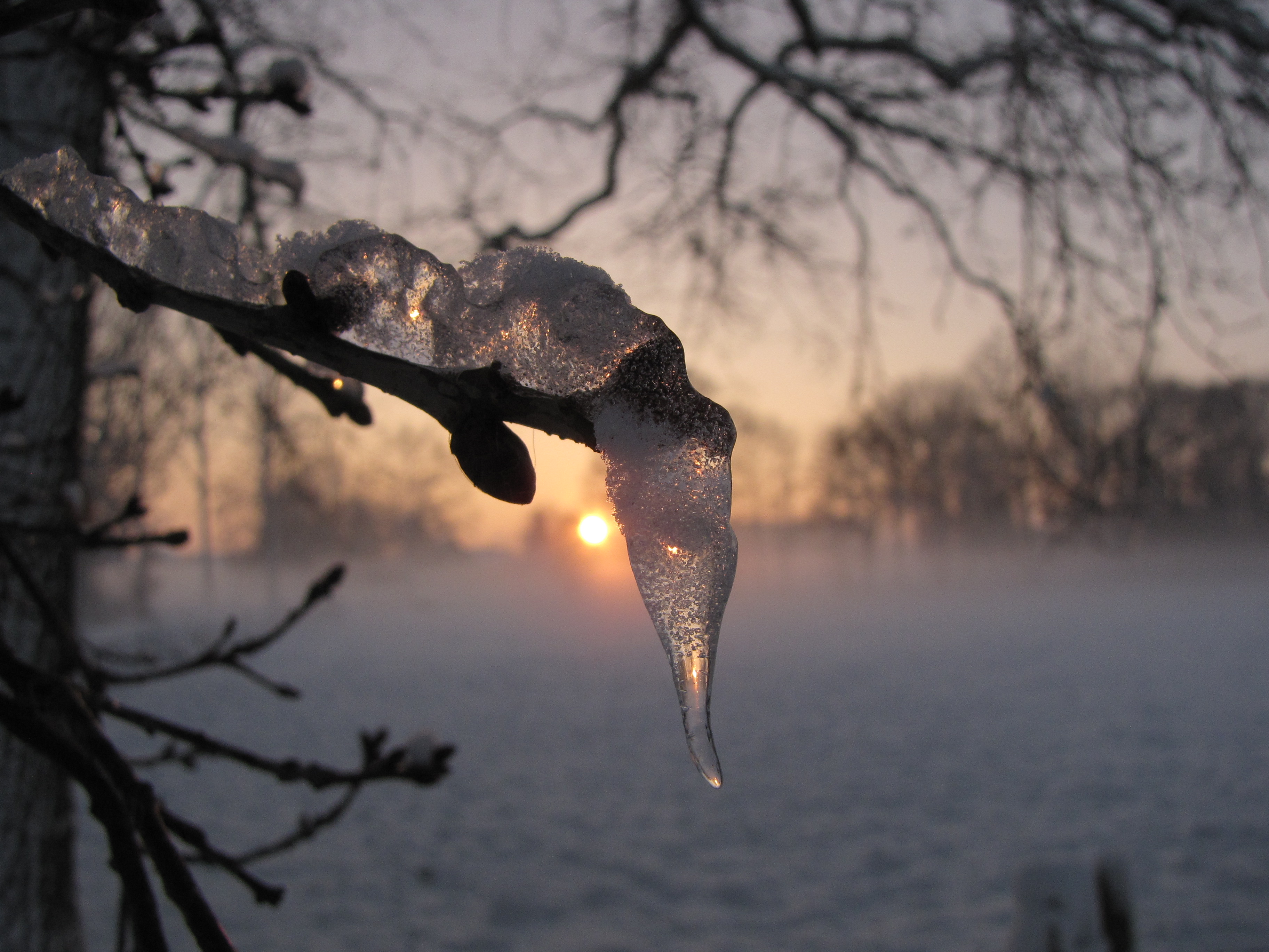 Weerfoto december Limburg 39