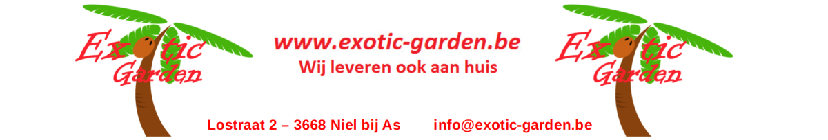 exotic garden horizontal