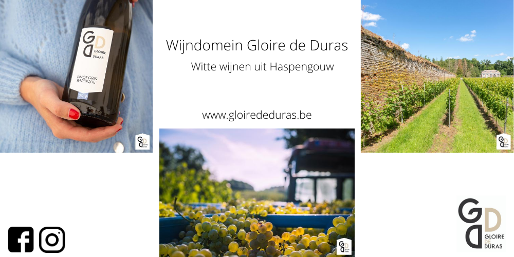 Wijndomein Gloire de Duras mobiel
