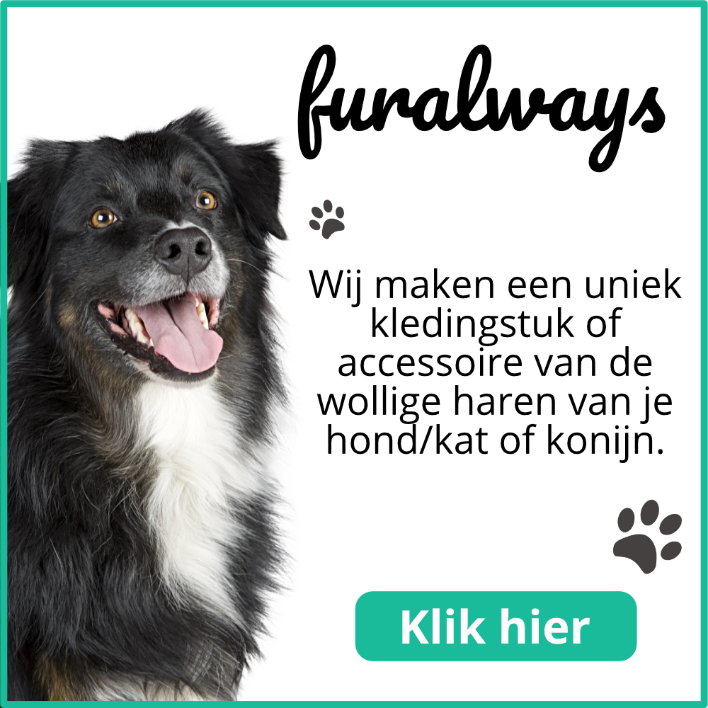 FUR always Mobiel