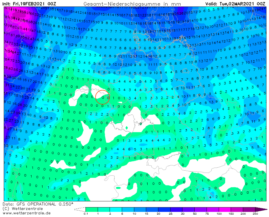 GFS19022021 neerslag