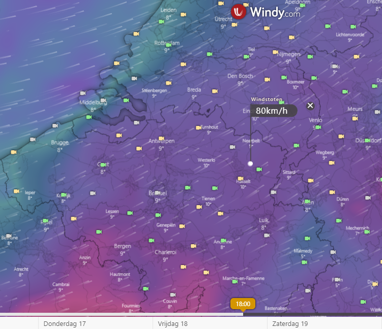 ecmwf 15022022 vrij.png