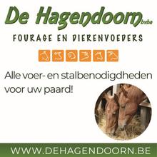 De Hagendoorn Vierkant