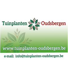 Oudsbergen 500x500