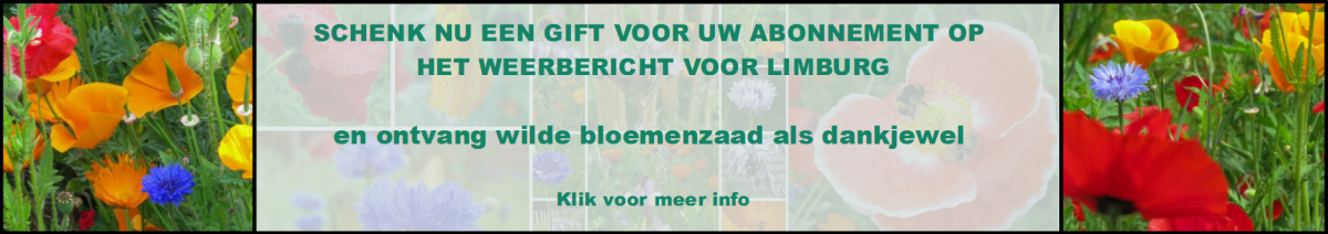 Advertiser